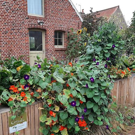 Les Jardins D'Olus Villa Wandignies-Hamage Ngoại thất bức ảnh